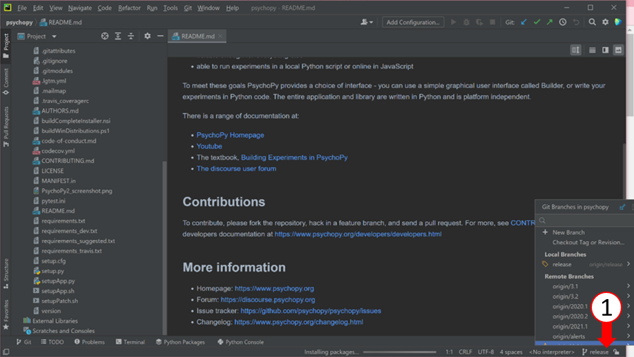 ../../_images/pycharm_release_branch.png